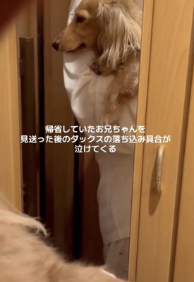 「おにいちゃん…」