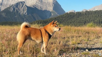 大自然を満喫…