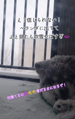 吹雪が強くなってきた