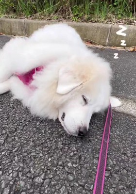 逞しさに感嘆…!