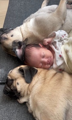 あぽ君とのえる君と赤ちゃん3