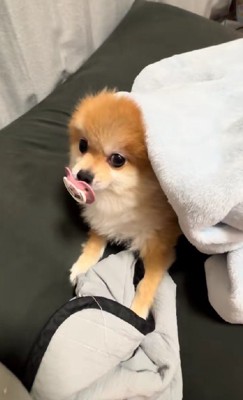 赤ちゃんみたいな顔にキュン♡