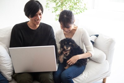 カップルの膝の上に乗る犬