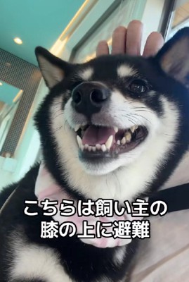 あさちゃんは余裕の笑み