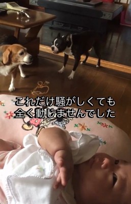 動じない赤ちゃん