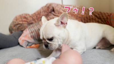 強めの蹴りにびっくり…!