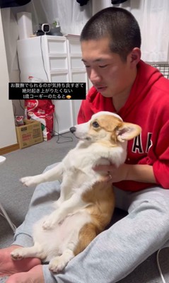 撫でられたいたるとちゃんVSパパさん
