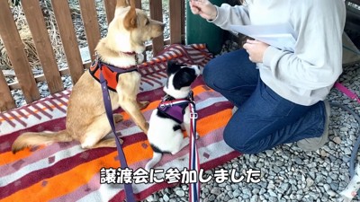 お世話係を引き継いだ太陽くん