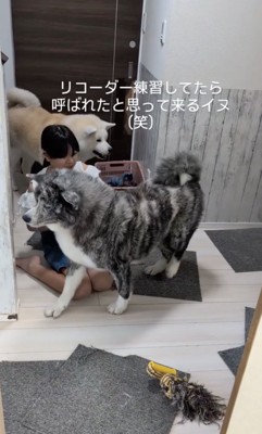 次は練習できるかな？