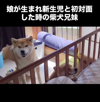 起きちゃうから静かにね