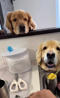 手元を見つめるイヴちゃん