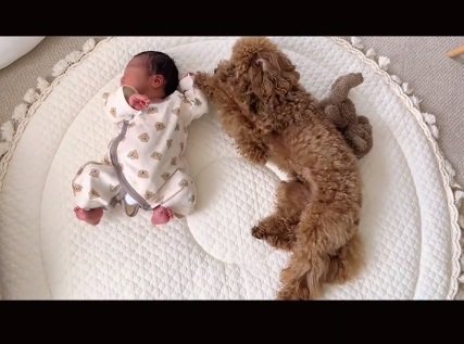 赤ちゃんが気になるりのちゃん