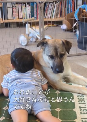 ふくすけ君が大好きな男の子