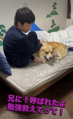 愛溢れるナデナデ