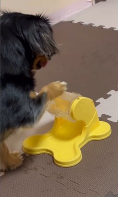 ごはんが出るオモチャで遊ぶれん君8