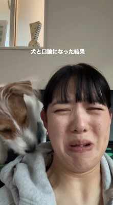 顔を歪ませる飼い主の傍で慌てる犬