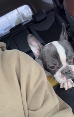 無責任な発言に絶句