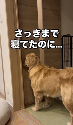 扉との距離ゼロ