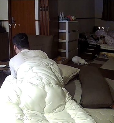 見つめ合うパパと犬1