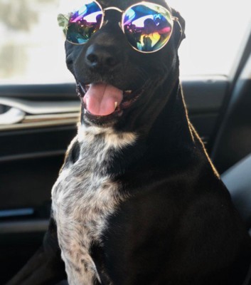 家族の絆に感動