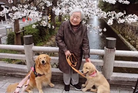 大型犬二匹とおばあちゃん