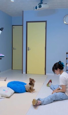 ショコラちゃんと仲良くなるまで4