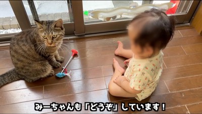 猫におもちゃを差し出す赤ちゃん