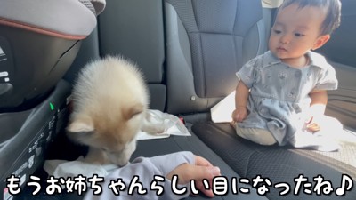 お姉さん気分の赤ちゃん