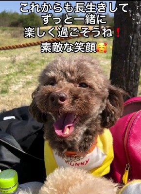 素敵な笑顔にホッコリ