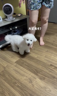 様子を伺います