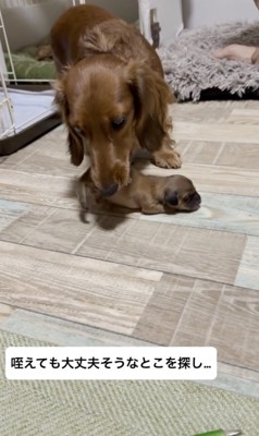 痛くない場所を探します