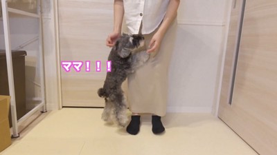 熱烈大歓迎♪