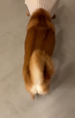 立ち去る長三郎くん