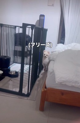 フリーズしてしまった