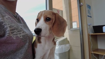 結局、オムツ無しで外出