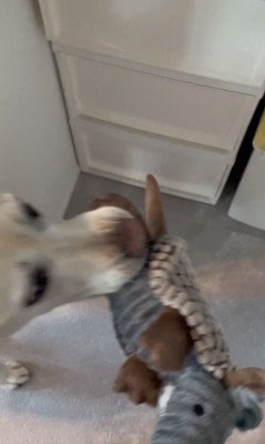 「ゲットォォ」