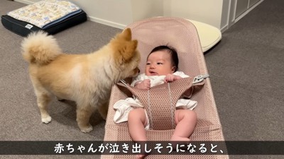「どうしたの?大丈夫?」