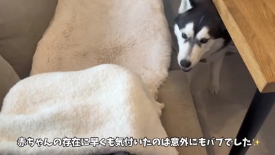 「それだあれ？」