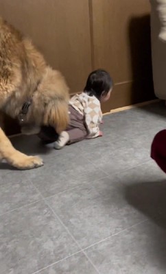 「お尻はいい?」