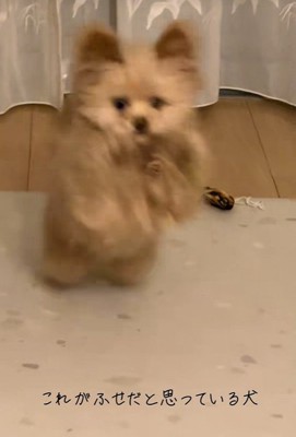 別バージョンの伏せ2