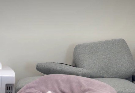 部屋が静かに…