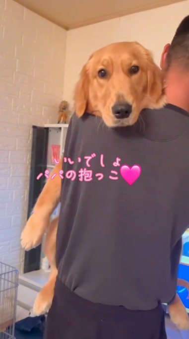 男性に抱き抱えられる犬