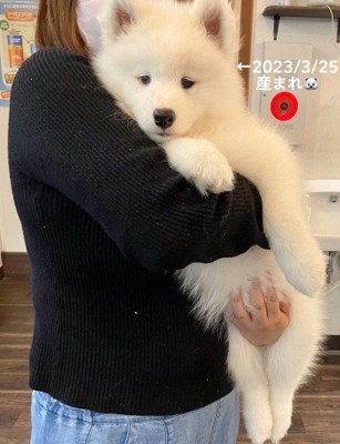 まだまだ抱っこは余裕