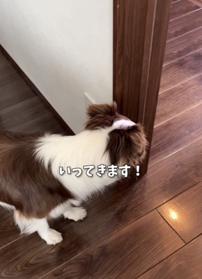 お見送りする犬