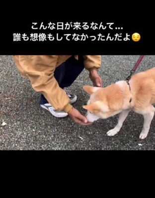 奇跡の再会に涙…