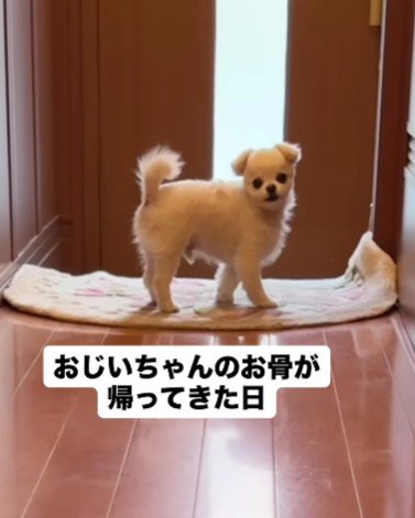 お骨が帰ってきた日