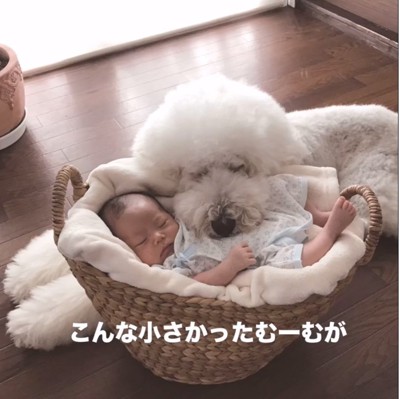 赤ちゃんに添い寝