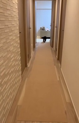 走り出すテオくん