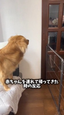 赤ちゃんを抱っこしてドアの前に立つ男性