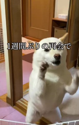 1週間ぶりに再会